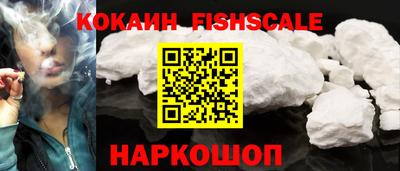 индика Ирбит