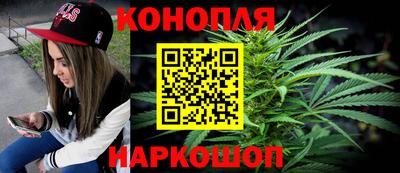 индика Ирбит