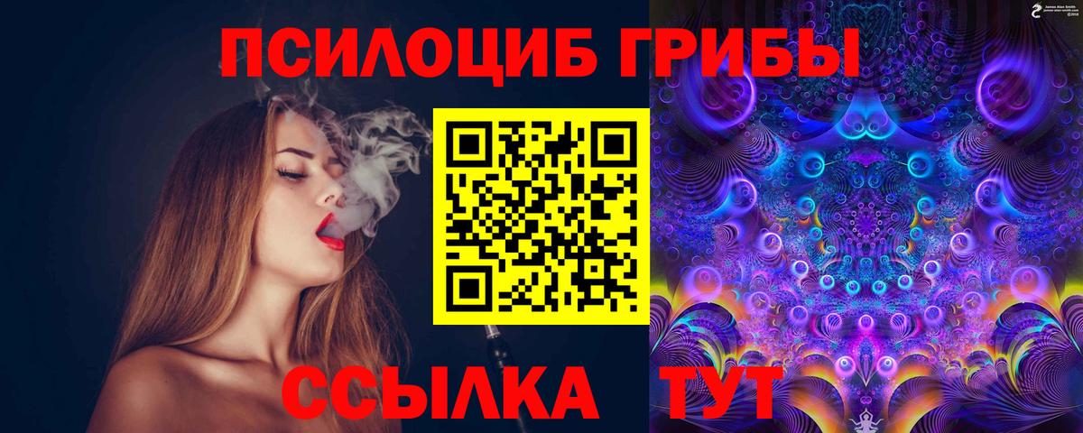 Лениногорск  Галлюциногенные грибы ЛСД  Вход с VPN 